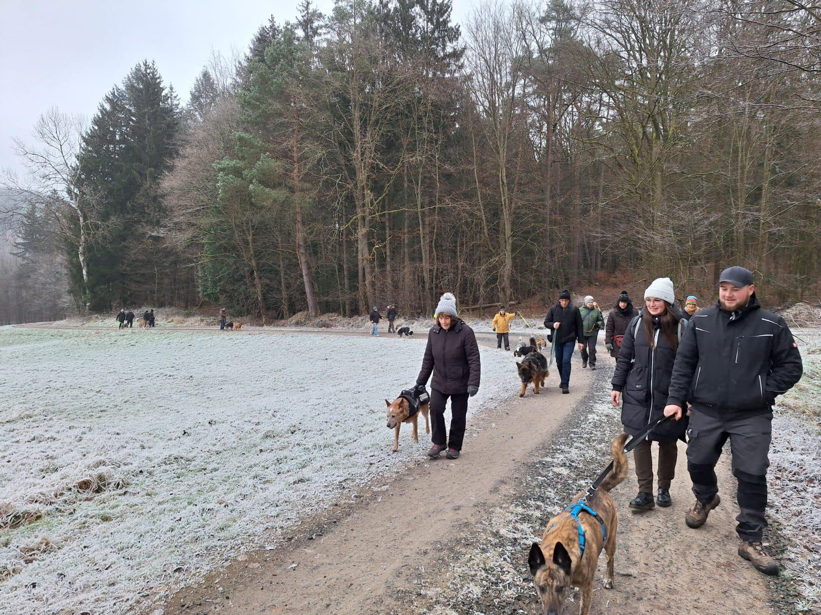 Jahresabschlusswanderung_4