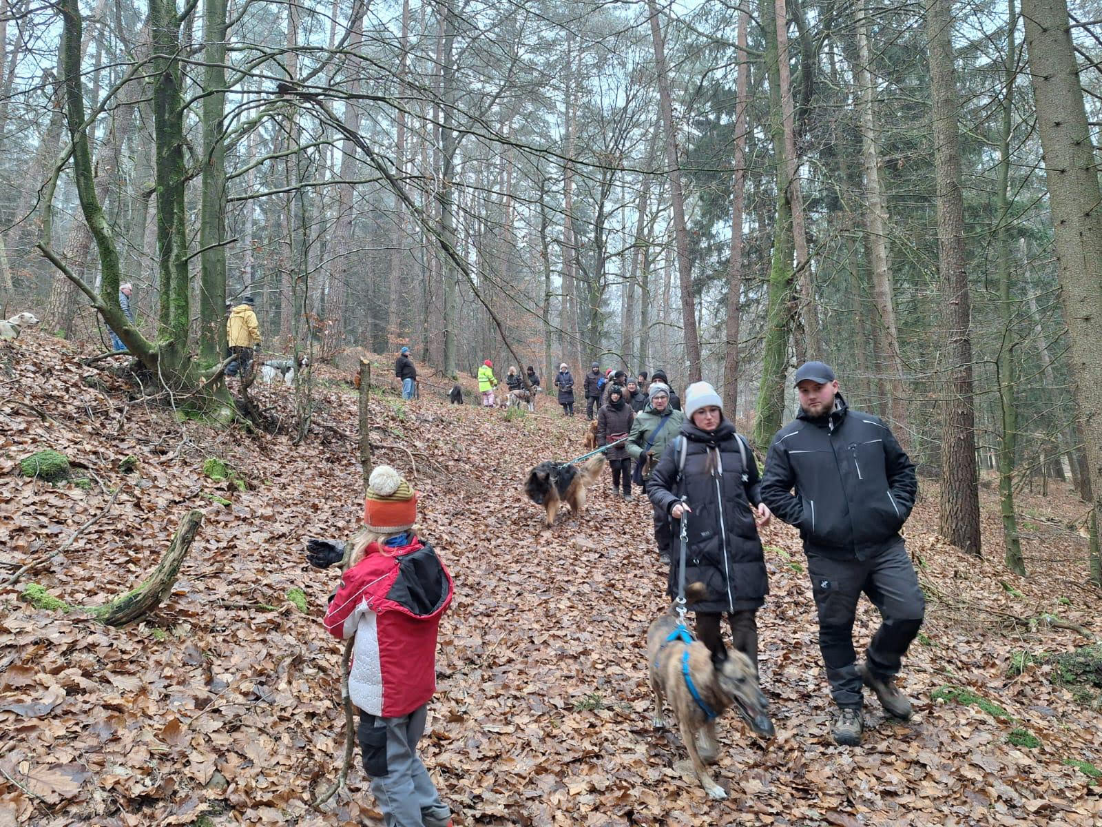 Jahresabschlusswanderung_5