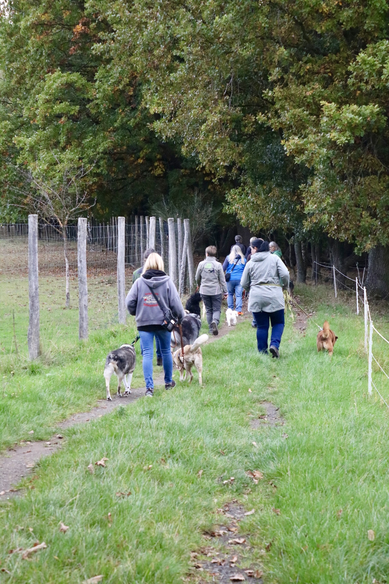 Foto 12.10.25, 14 06 28