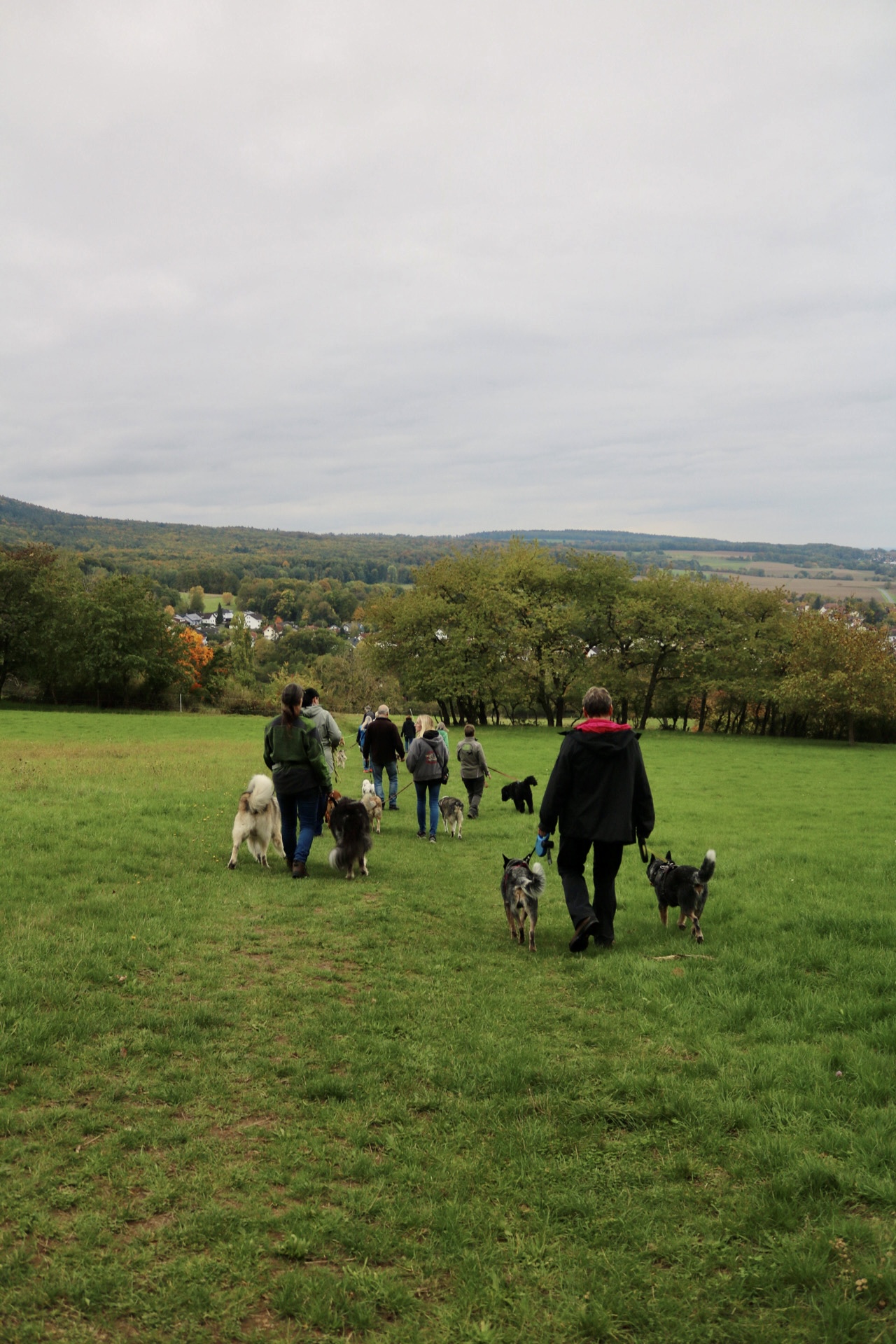 Foto 12.10.25, 14 12 19