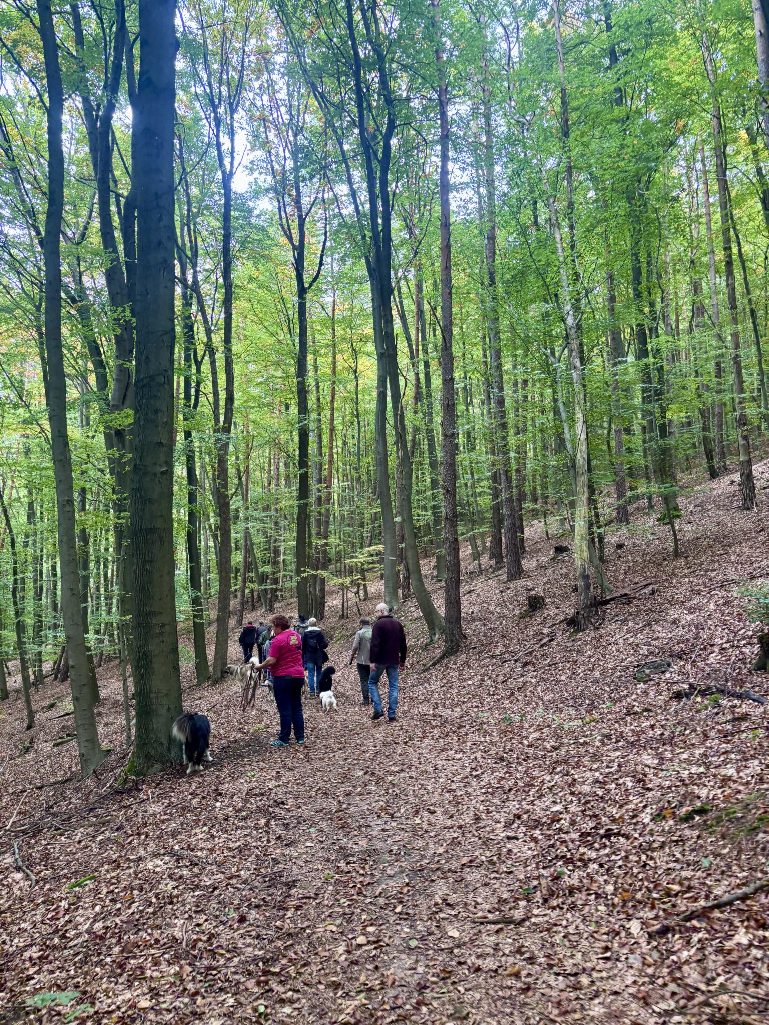 Foto 12.10.25, 14 26 05