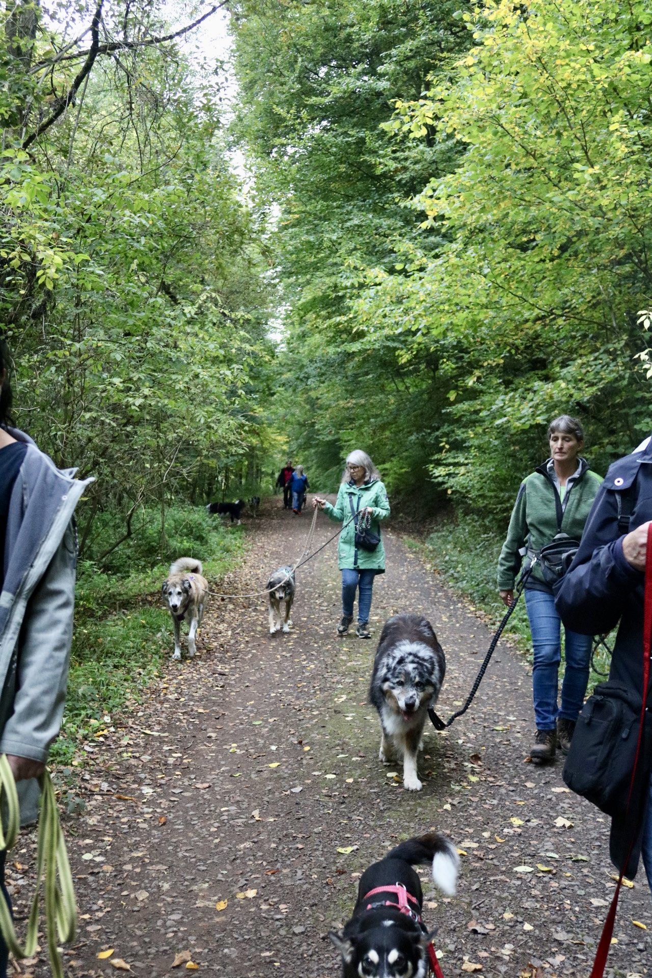 Foto 12.10.25, 14 49 46