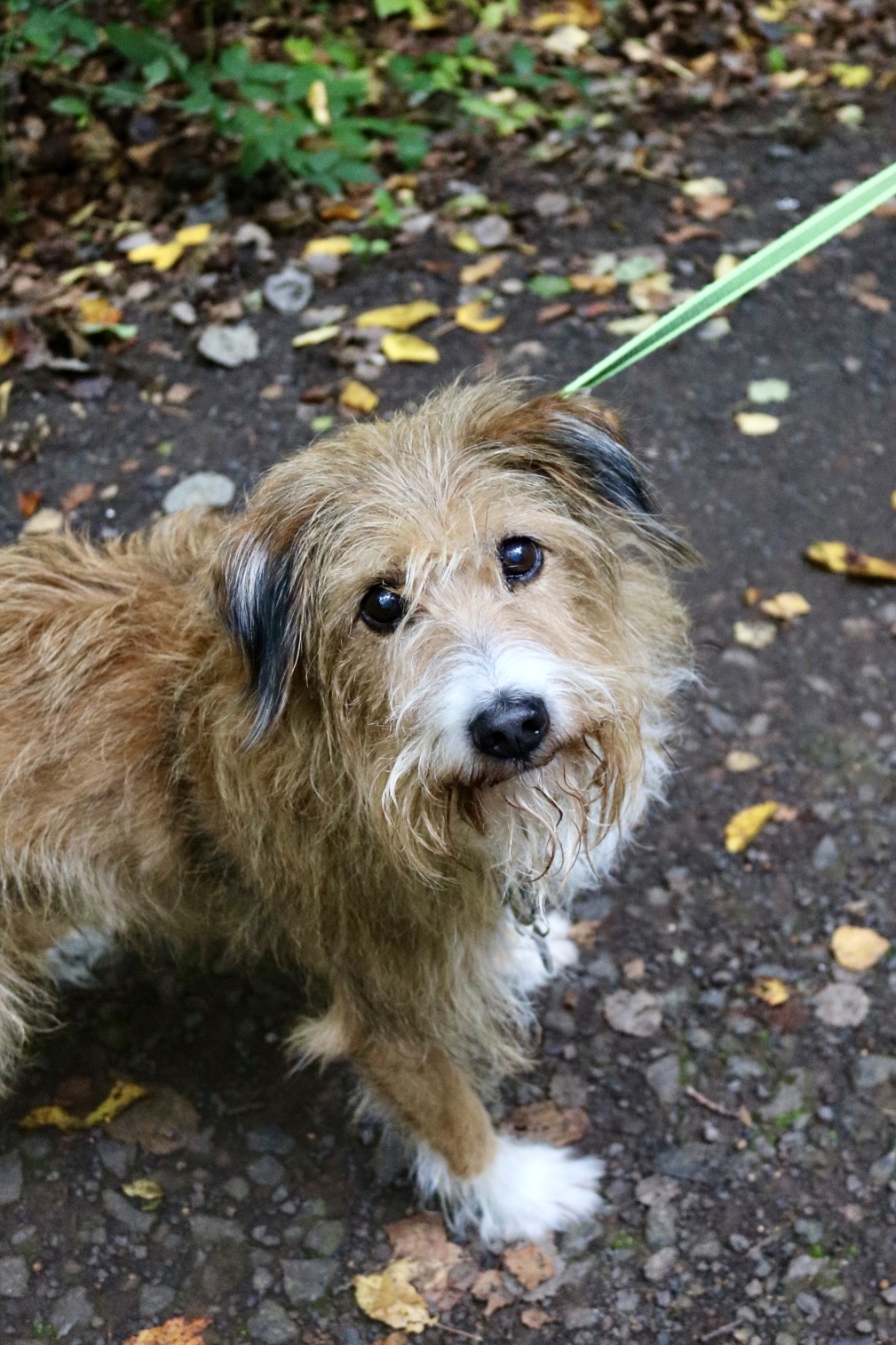 Foto 12.10.25, 14 49 51