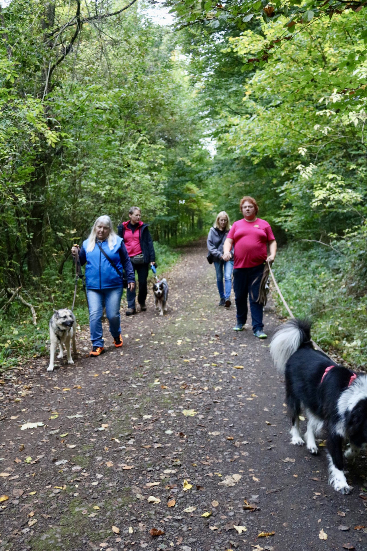 Foto 12.10.25, 14 50 20