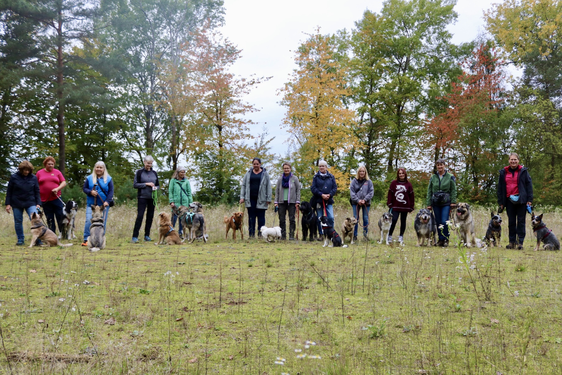 Foto 12.10.25, 15 02 02