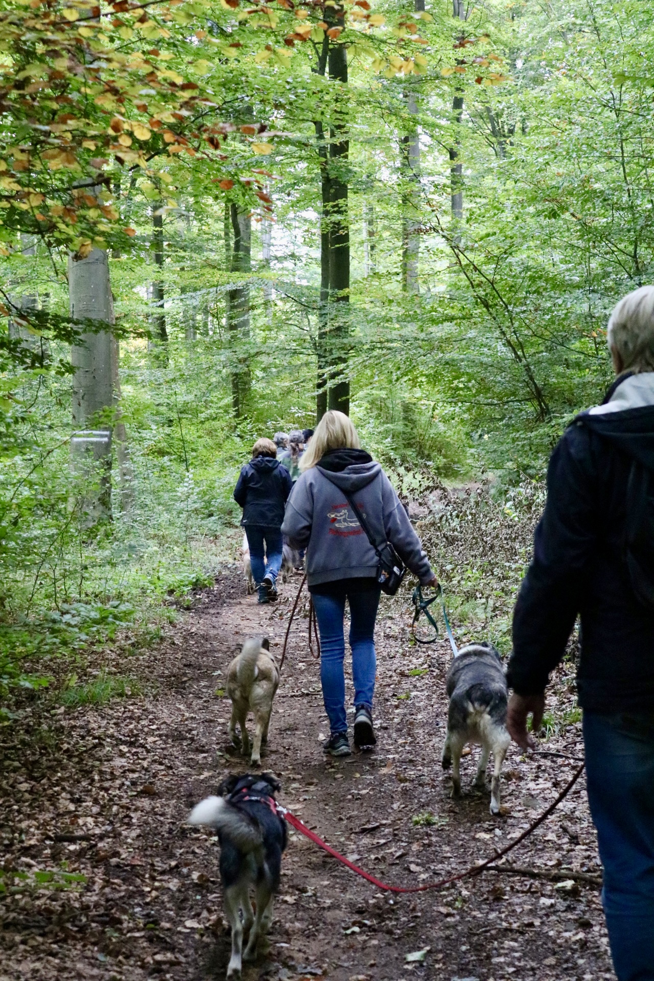 Foto 12.10.25, 15 09 38