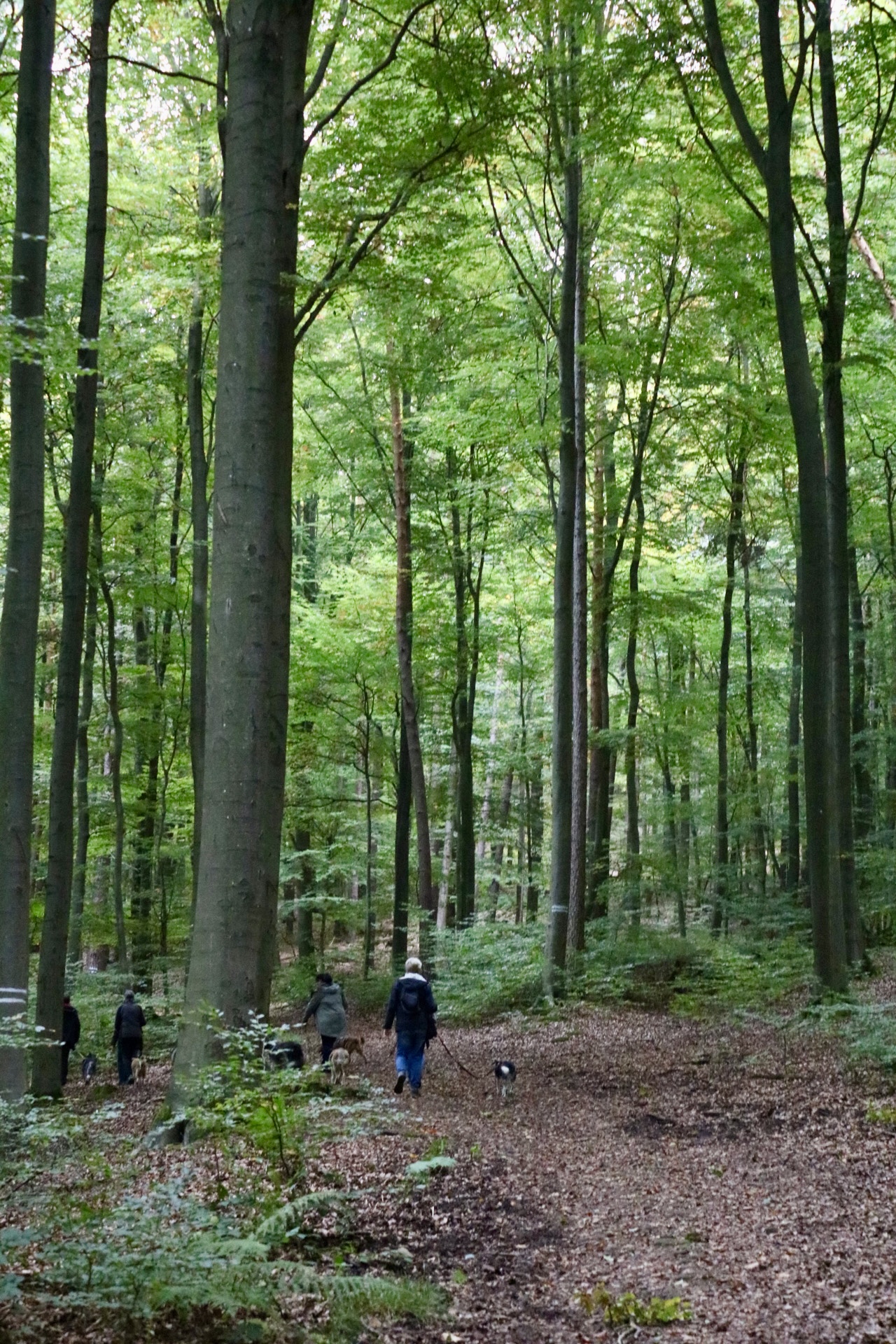 Foto 12.10.25, 15 14 56