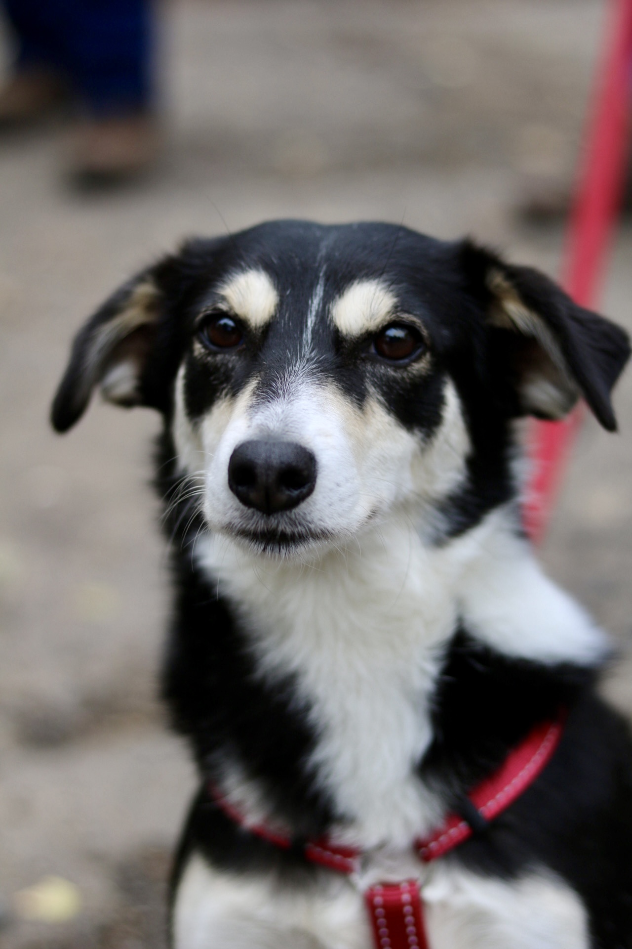 Foto 12.10.25, 15 57 11