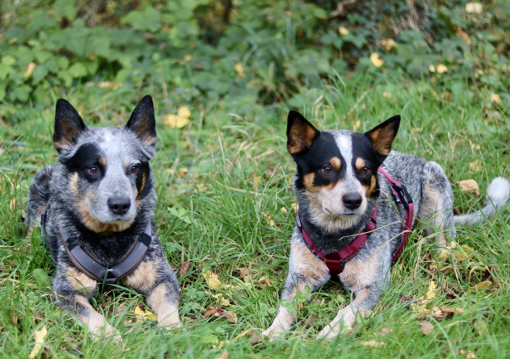 Foto 12.10.25, 15 59 08