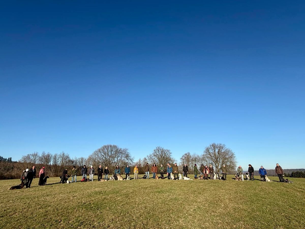 610784407_18553154647027703_4049620288519849623_n