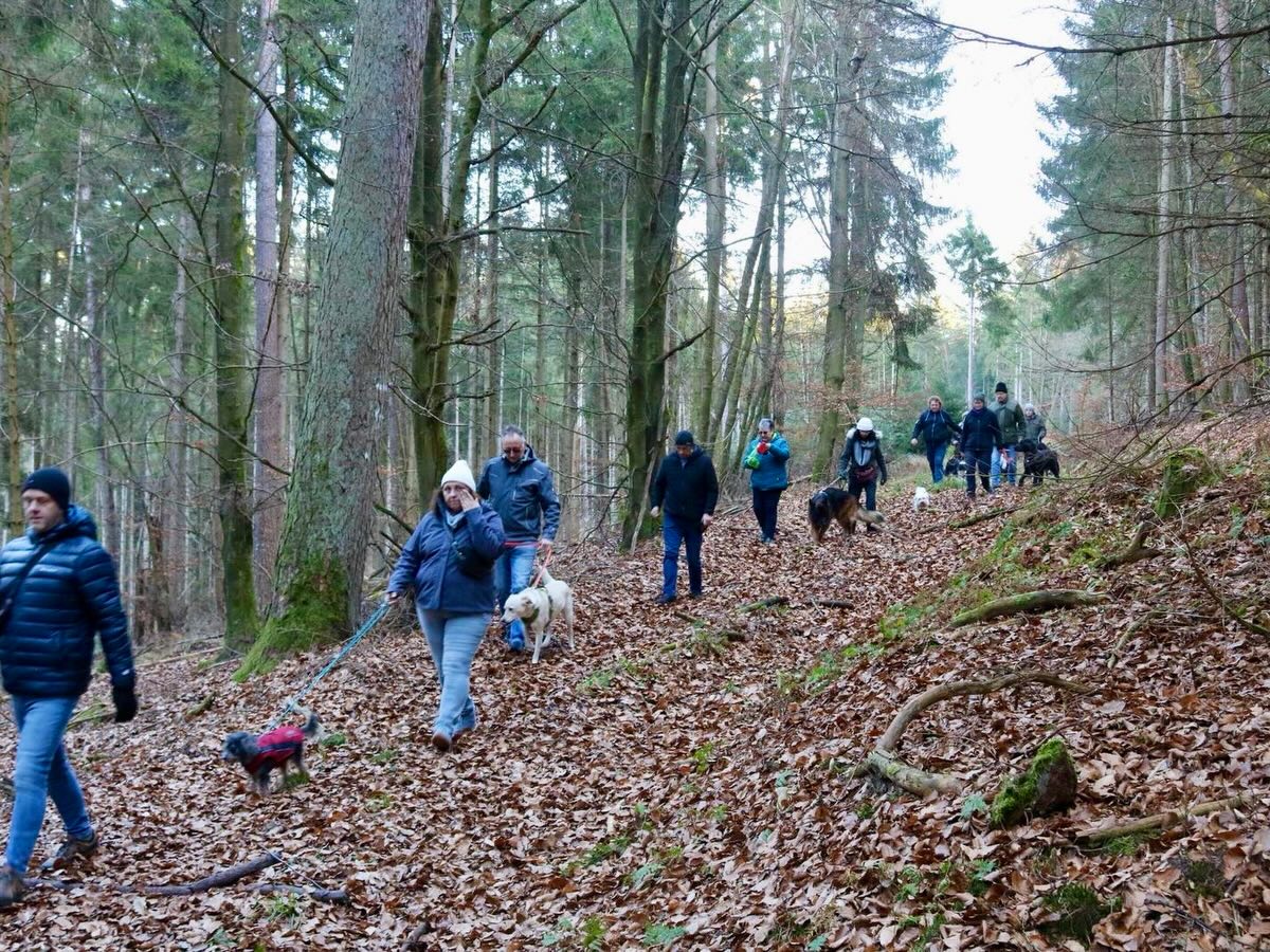 610832008_18553154755027703_820042203231848119_n