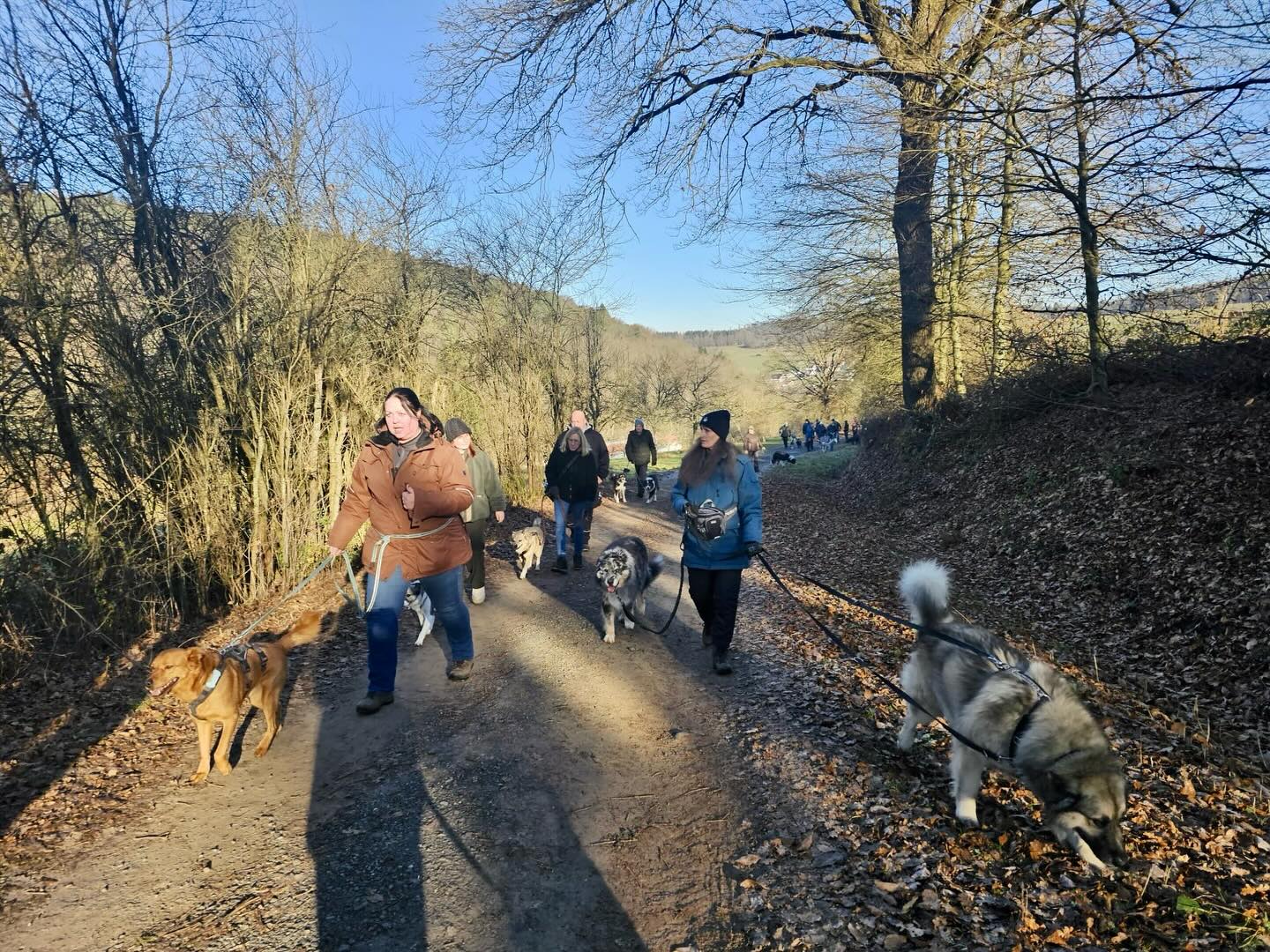 611137844_18553154764027703_6678893909479786348_n