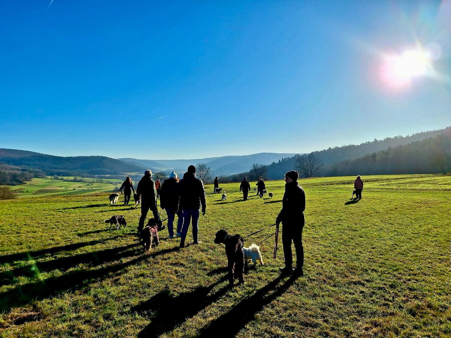 611240903_18553154719027703_3348848942583584054_n