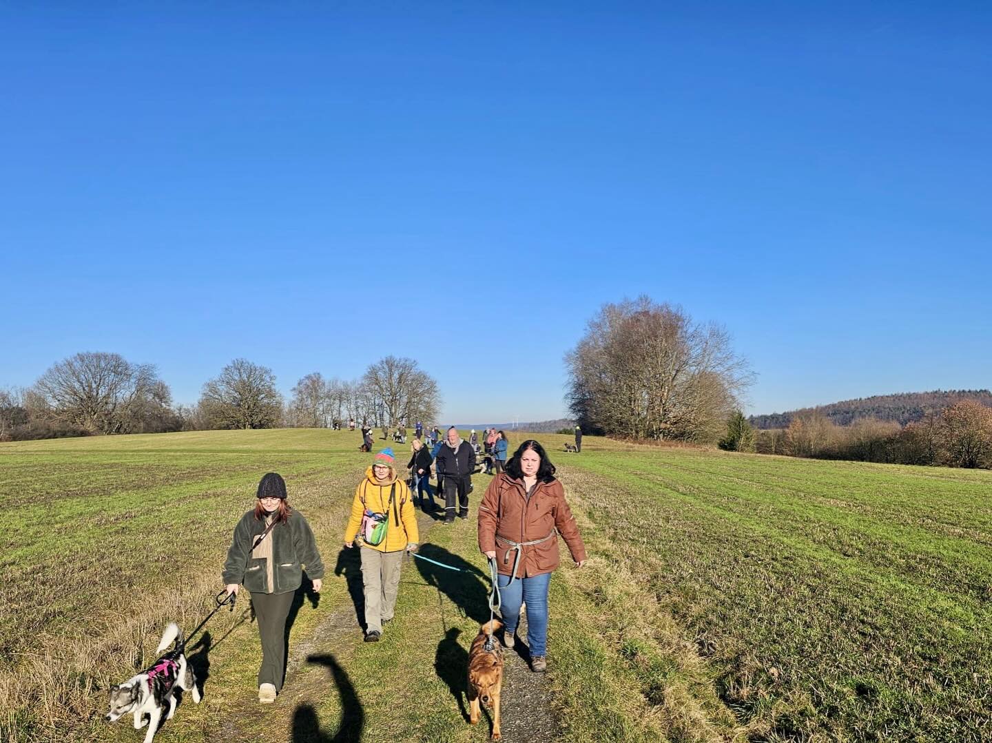 611254714_18553154728027703_7768022522597398941_n