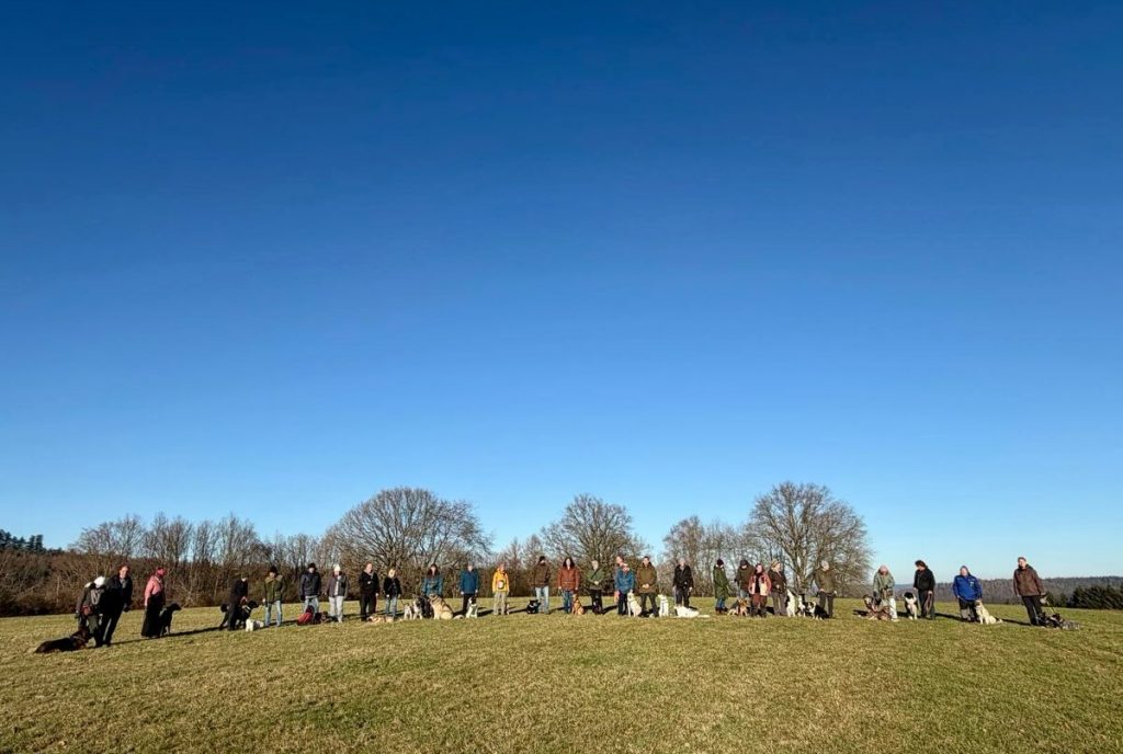 610784407_18553154647027703_4049620288519849623_n