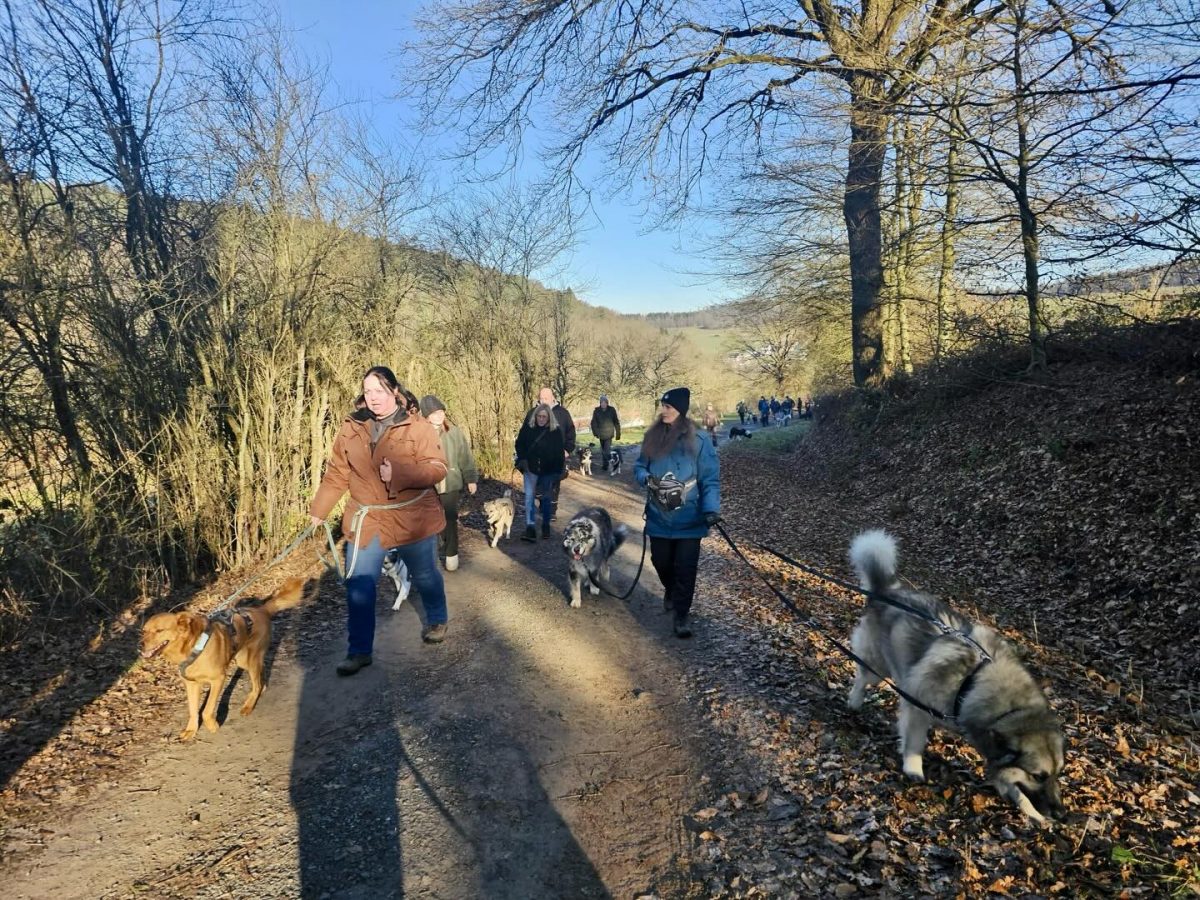 611137844_18553154764027703_6678893909479786348_n