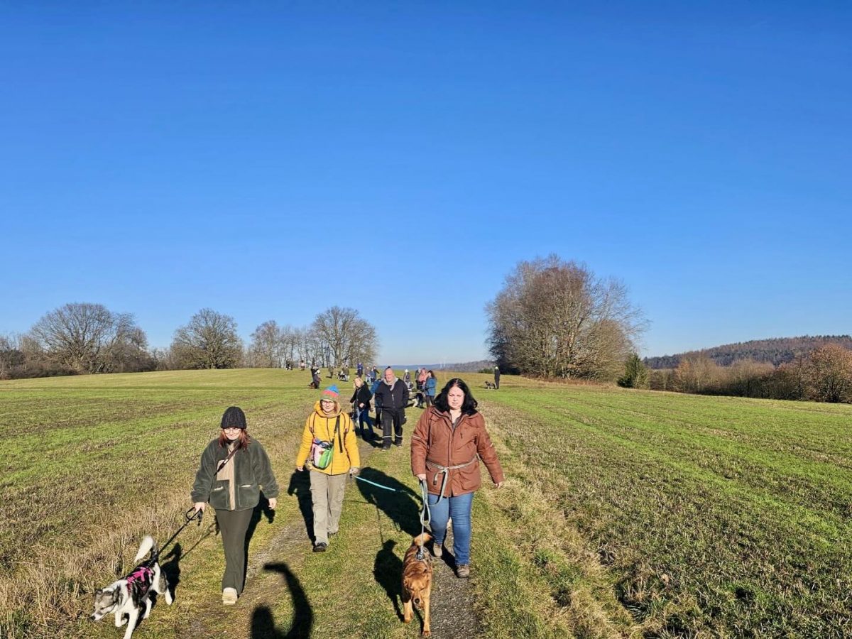 611254714_18553154728027703_7768022522597398941_n