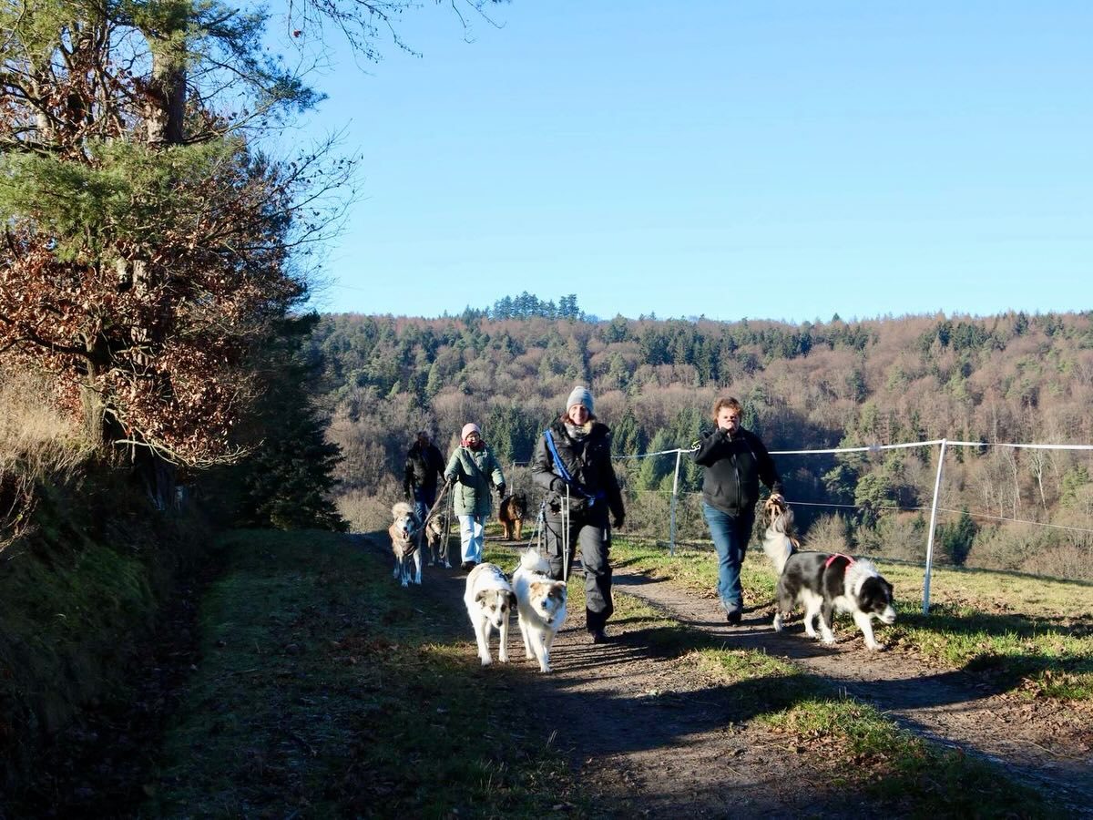 611678381_18553154656027703_8034637306240008804_n