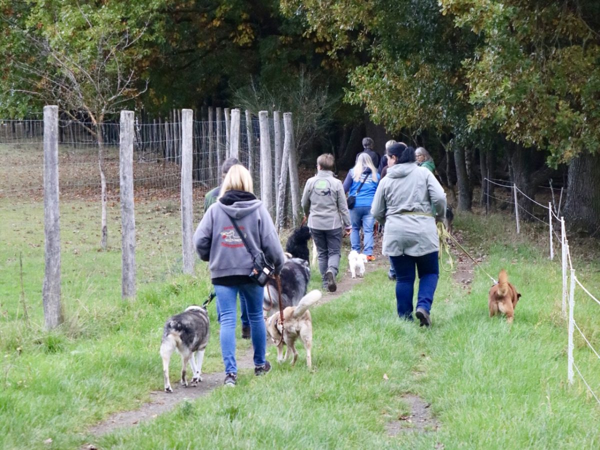 Foto 12.10.25, 14 06 28