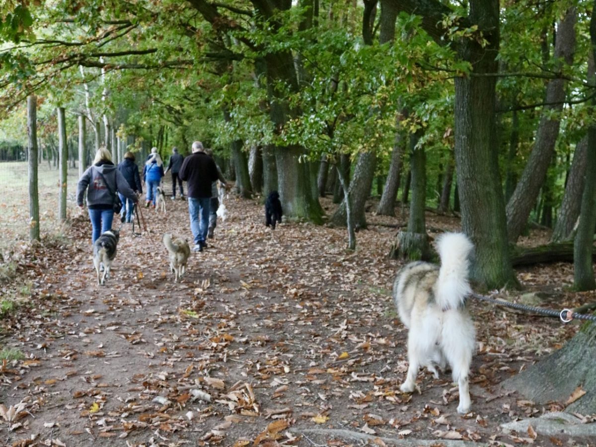 Foto 12.10.25, 14 07 35