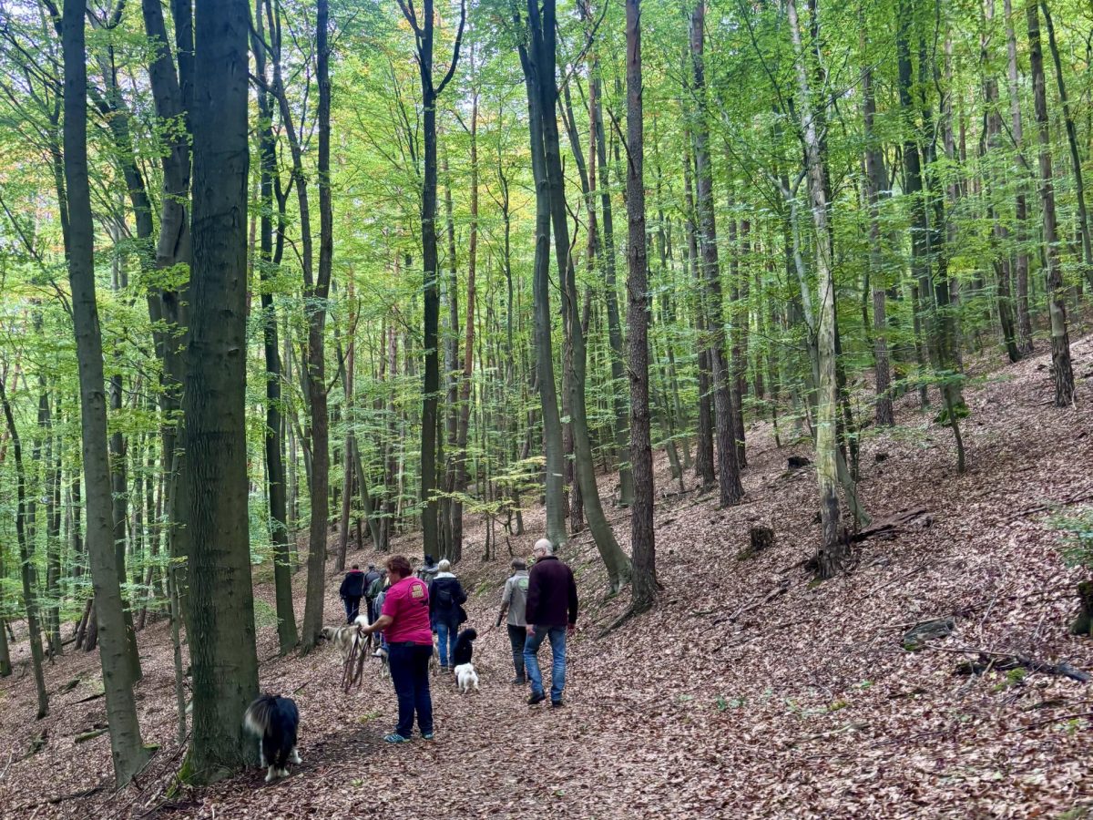 Foto 12.10.25, 14 26 05