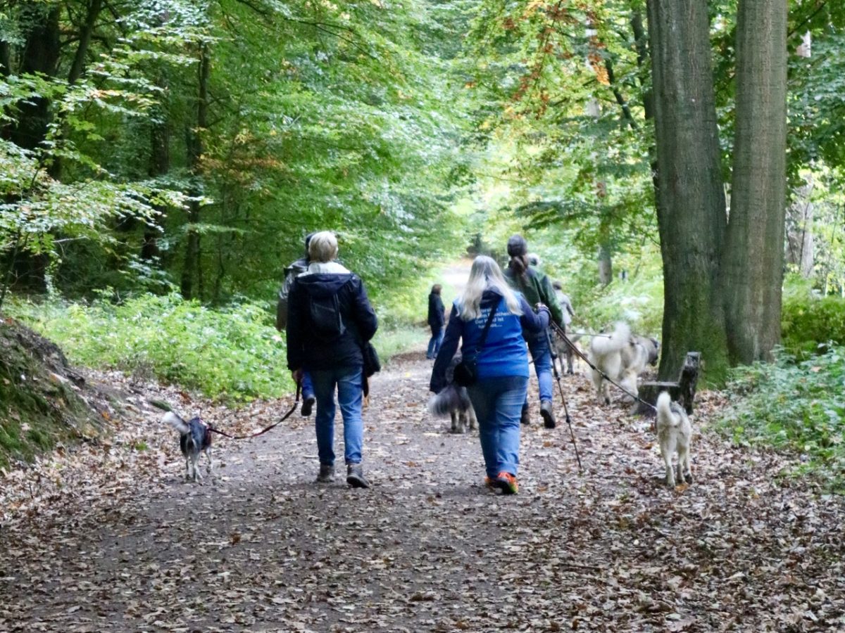 Foto 12.10.25, 14 43 37