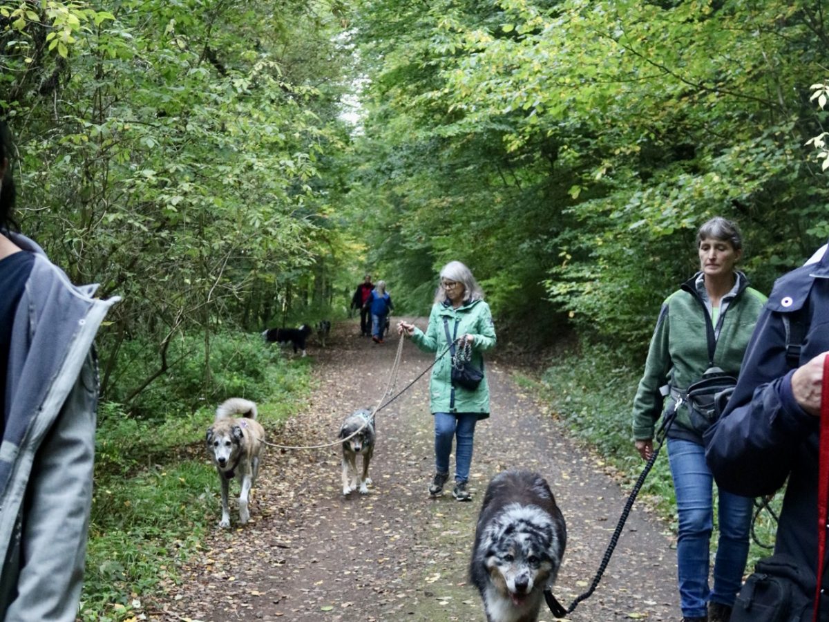 Foto 12.10.25, 14 49 46