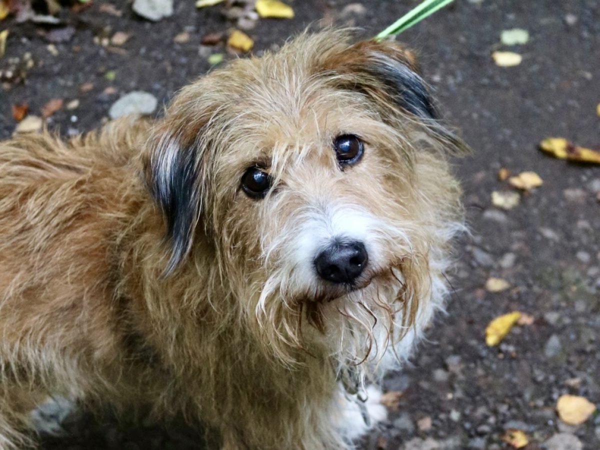 Foto 12.10.25, 14 49 51