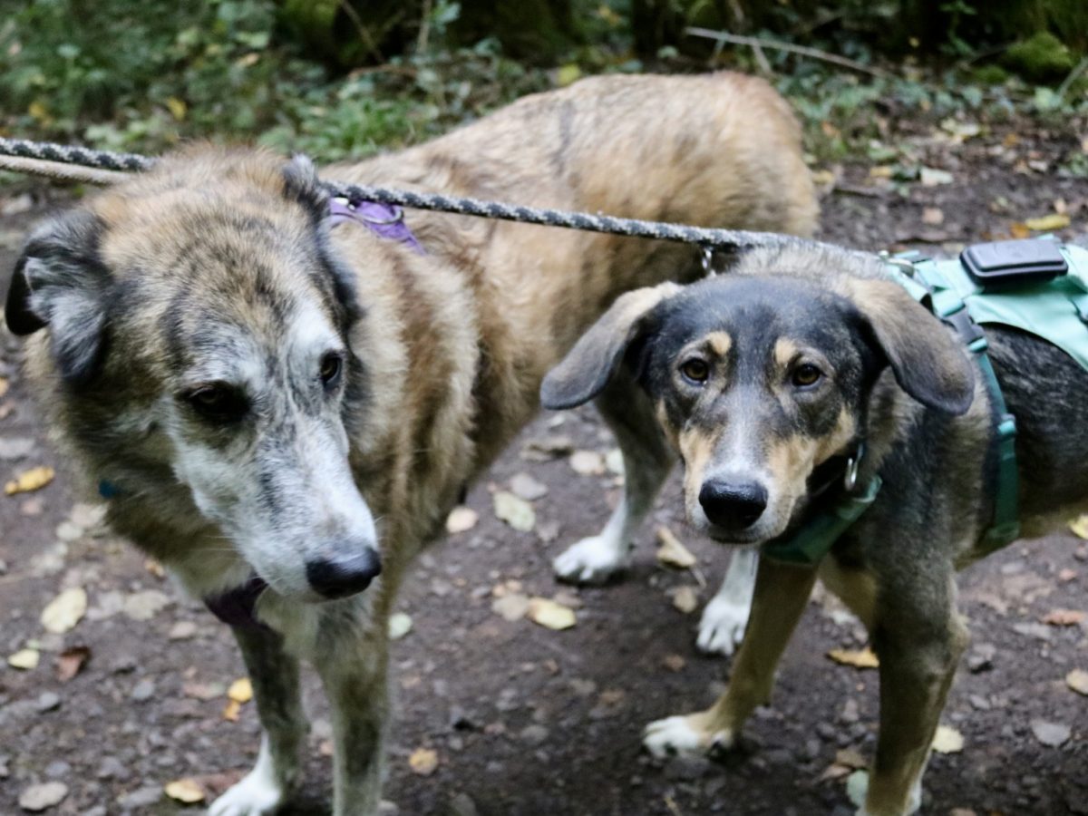 Foto 12.10.25, 14 50 17