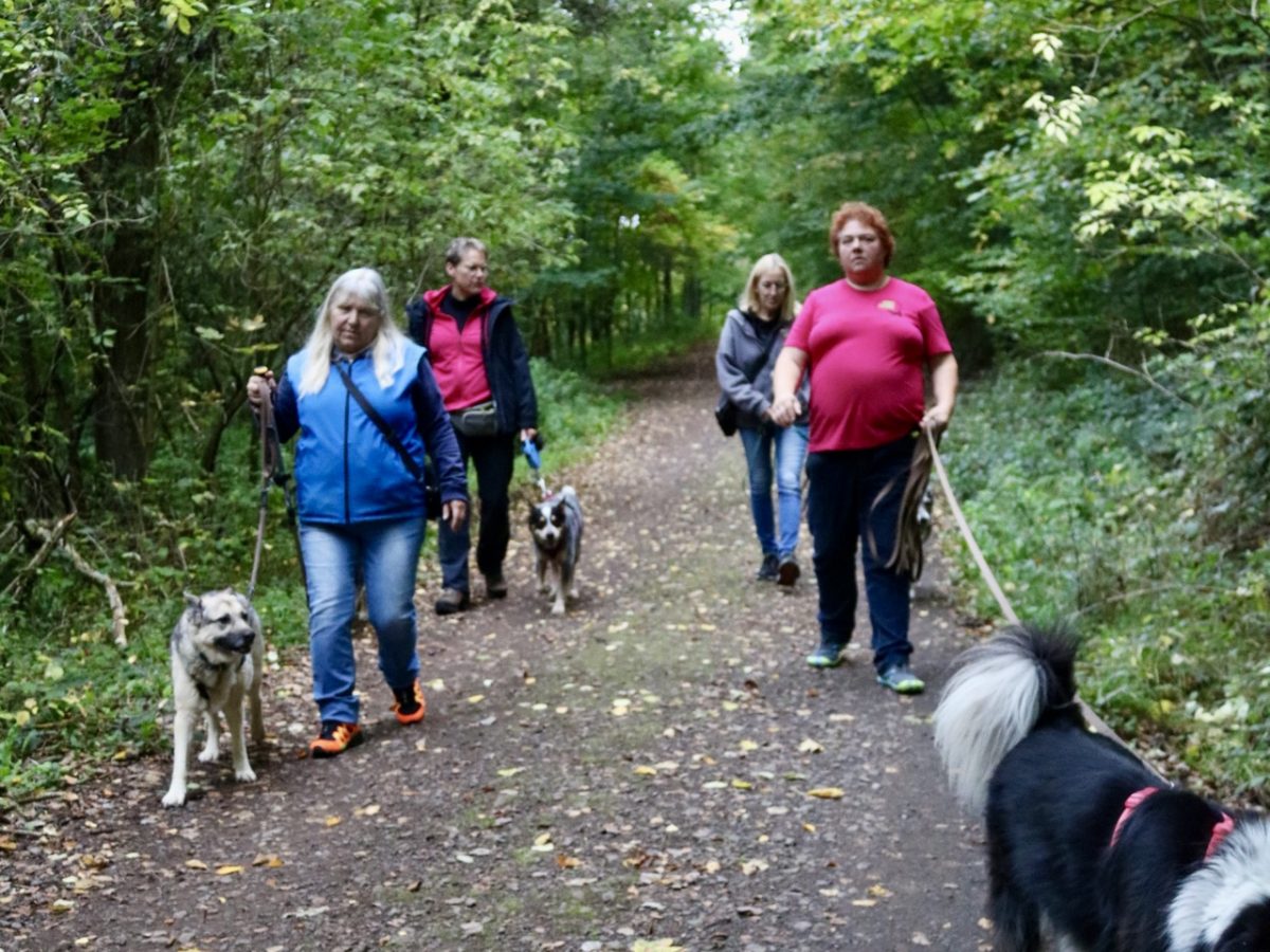 Foto 12.10.25, 14 50 20