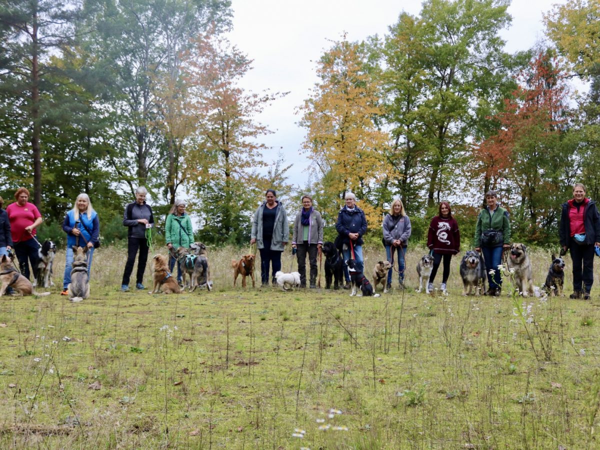 Foto 12.10.25, 15 02 02