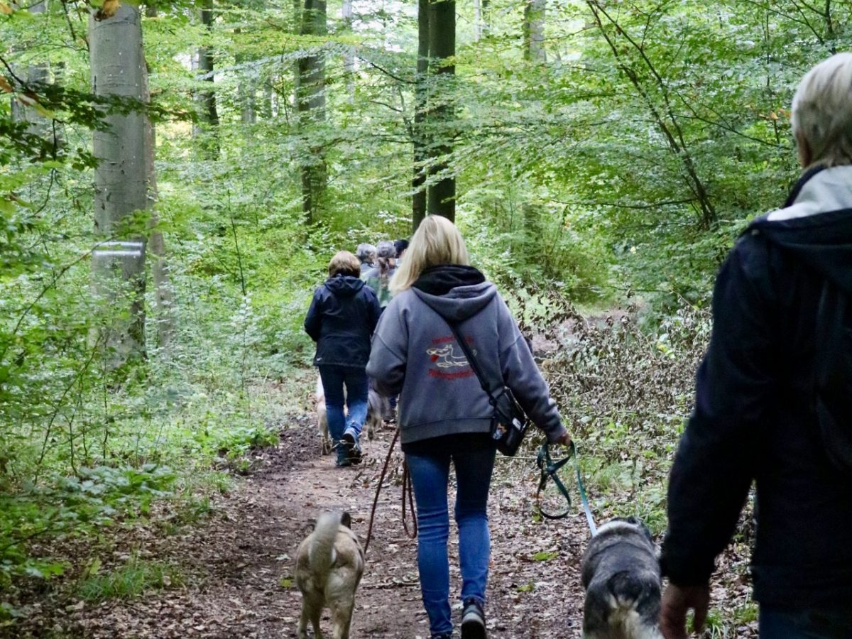 Foto 12.10.25, 15 09 38