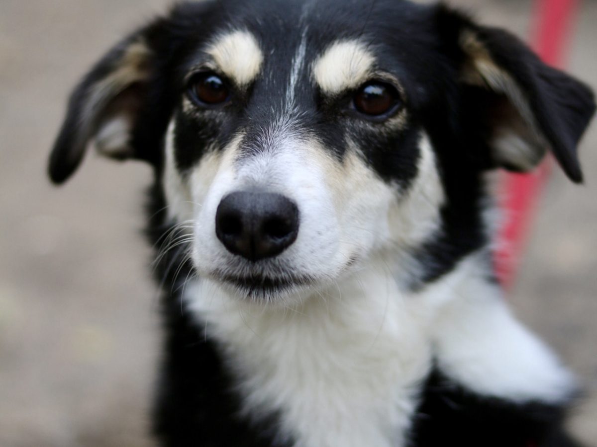 Foto 12.10.25, 15 57 11