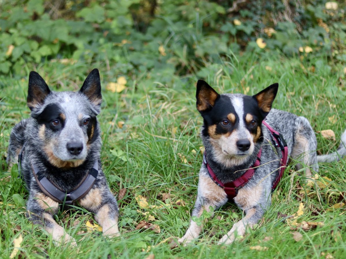 Foto 12.10.25, 15 59 08