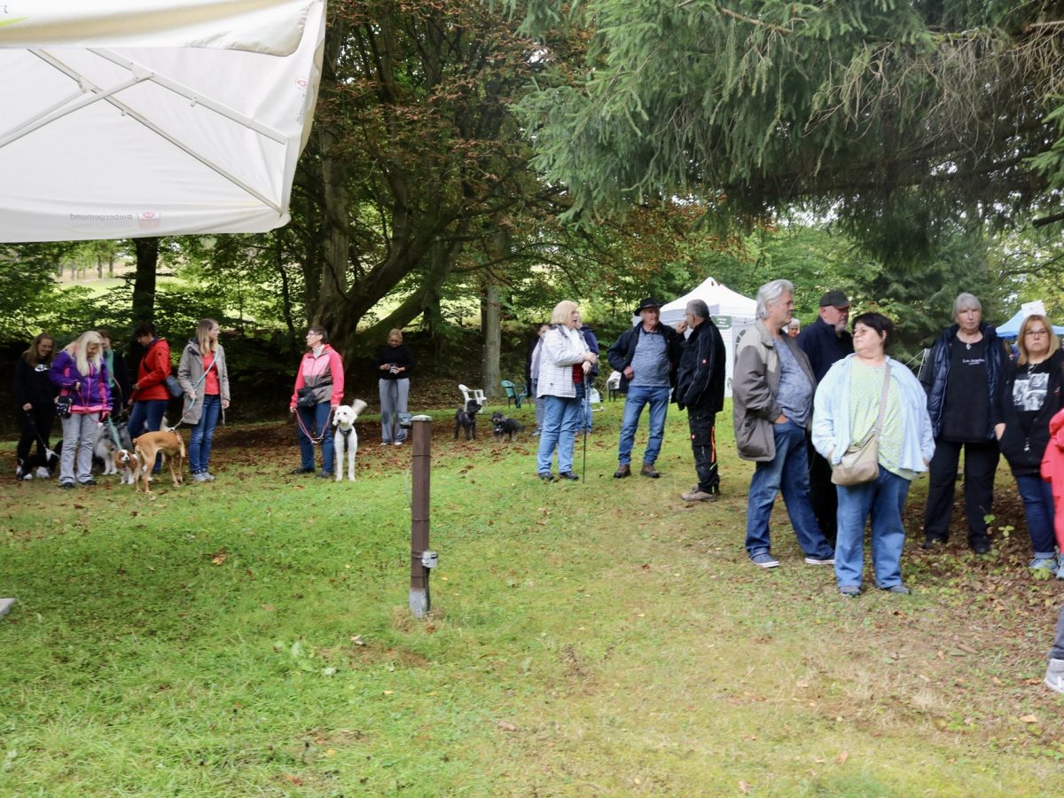 Foto 13.09.25, 12 24 37