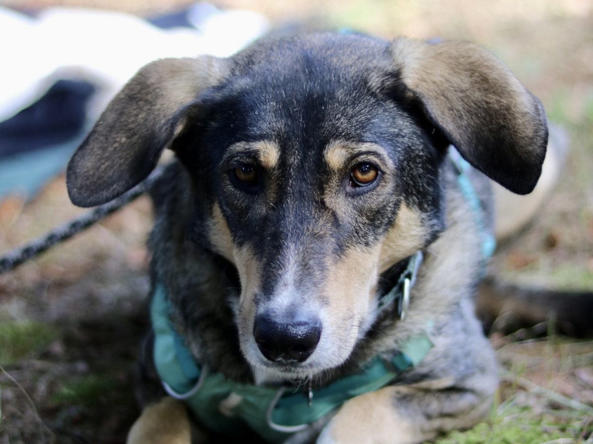 Foto 13.09.25, 12 40 19