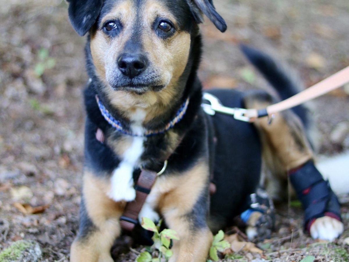 Foto 13.09.25, 12 45 33