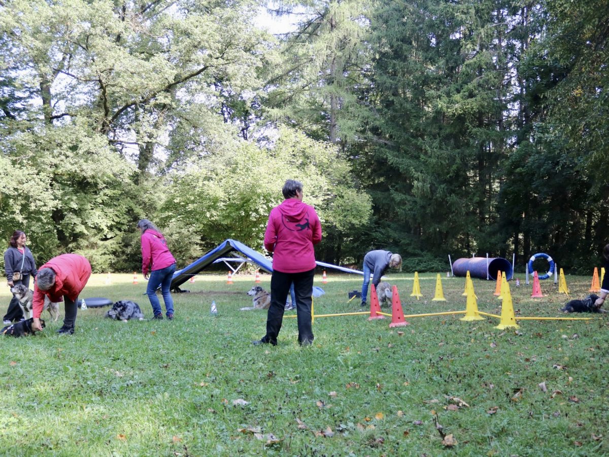 Foto 13.09.25, 13 35 31