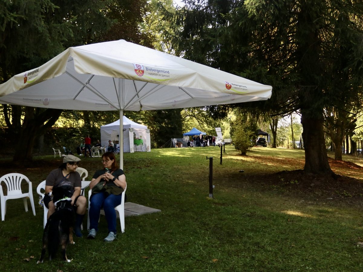 Foto 13.09.25, 14 00 09