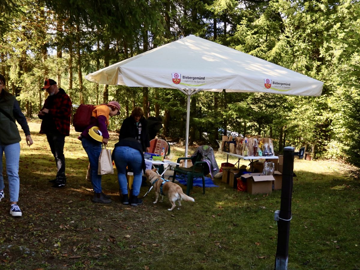 Foto 13.09.25, 14 03 18