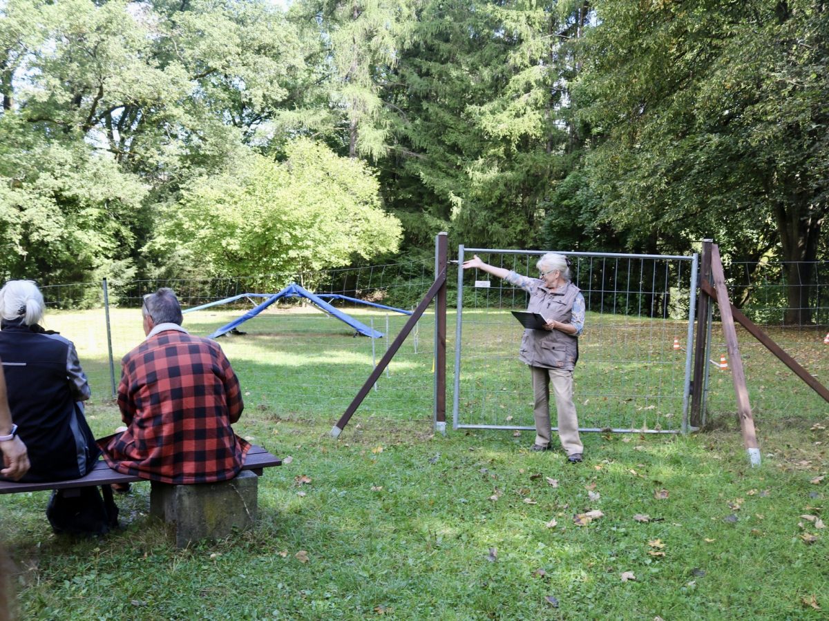 Foto 13.09.25, 14 35 30