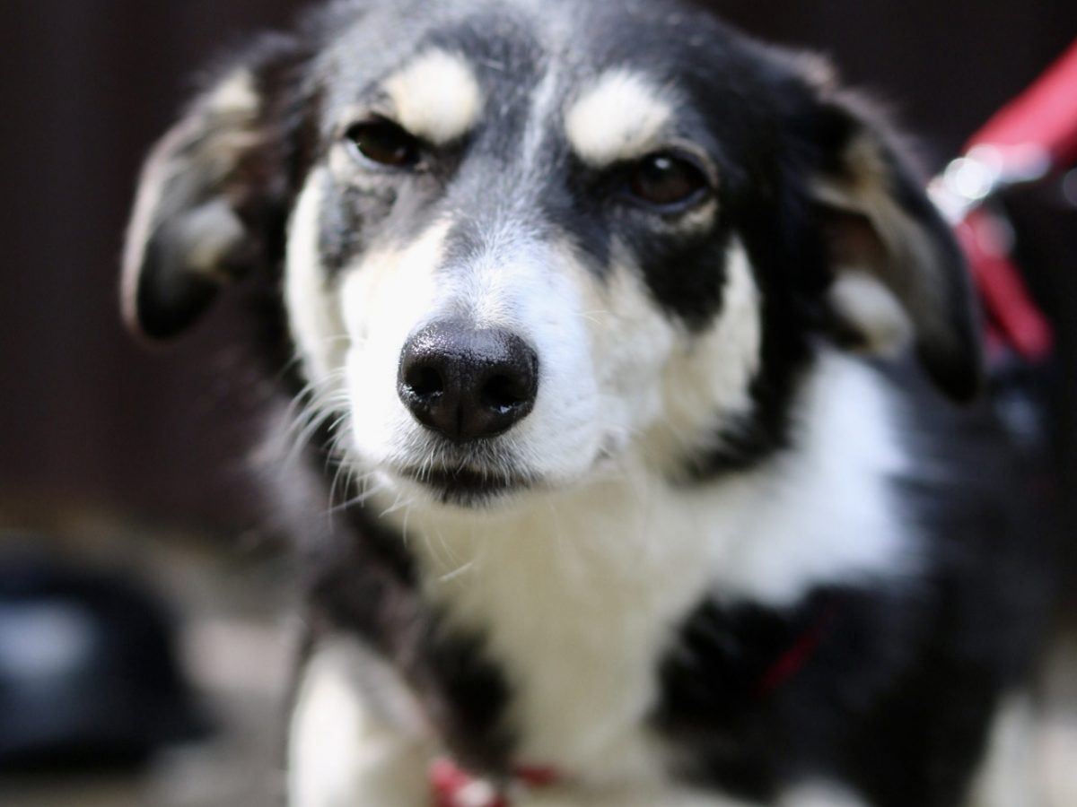 Foto 13.09.25, 15 40 27