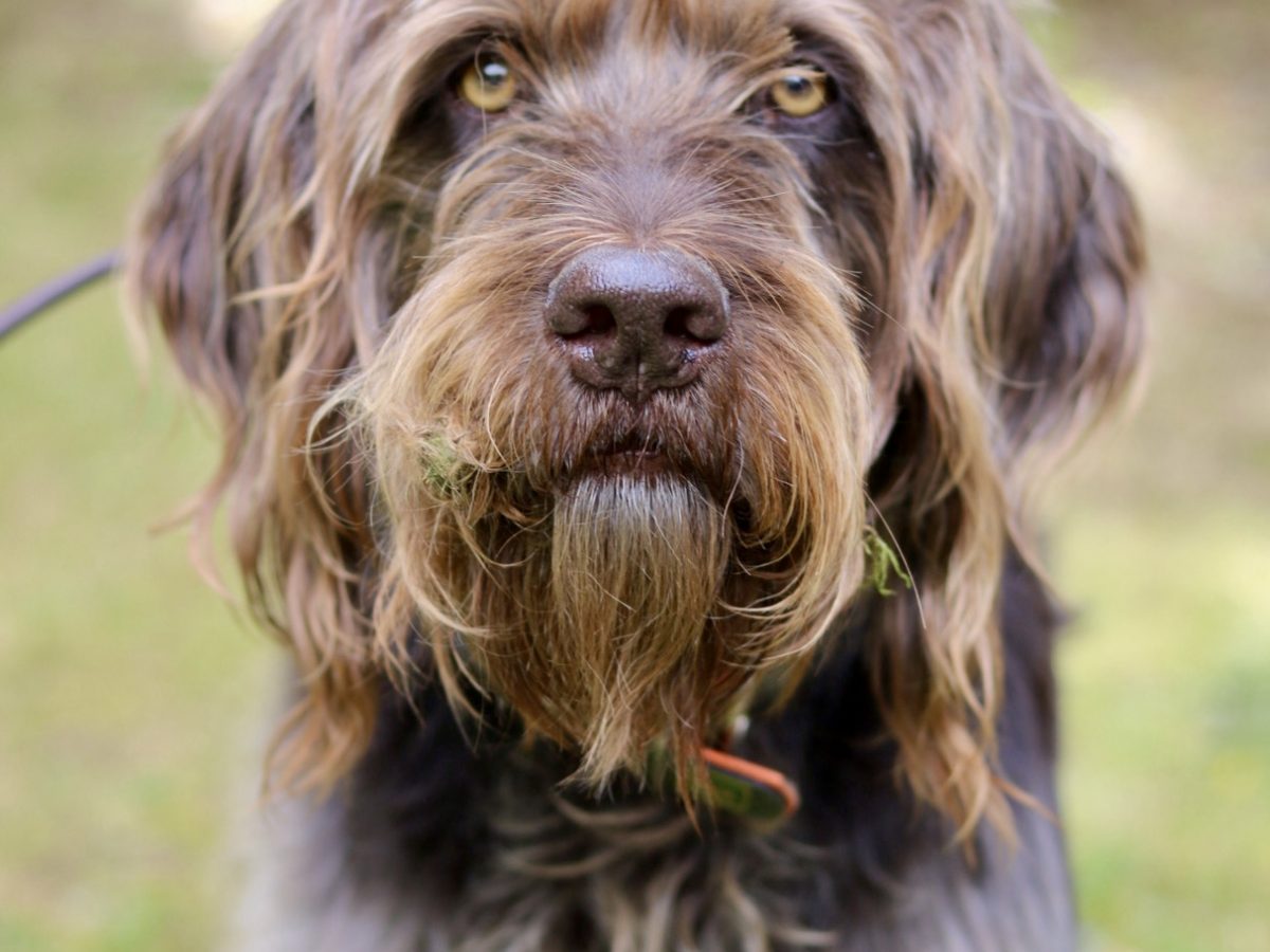 Foto 13.09.25, 16 22 26