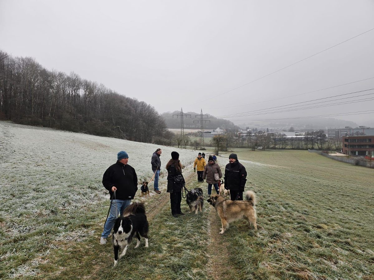 Jahresabschlusswanderung_2