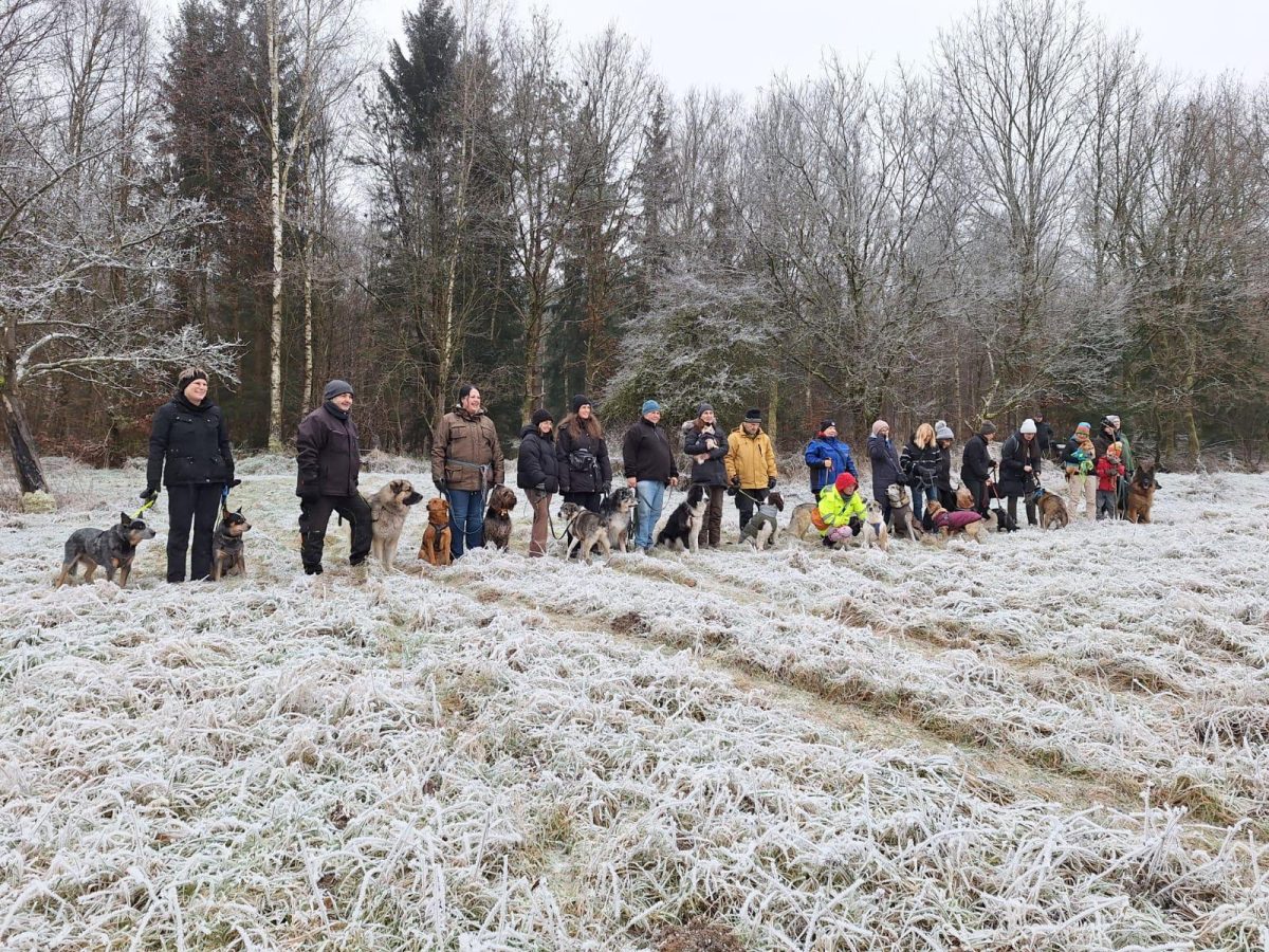 Pfingstwanderung 2025