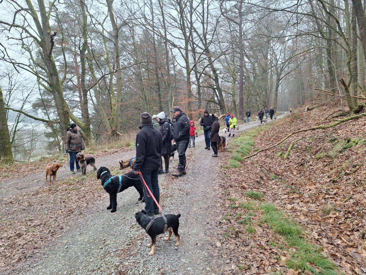 Jahresabschlusswanderung_6